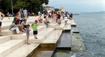 sea_organ4